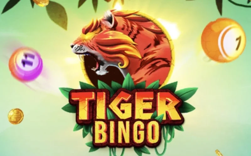 Play Tiger Bingo on Mostbet and enjoy bright and fast gameplay.
